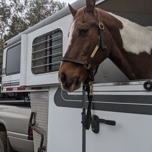 Meet your Posher, Glenice